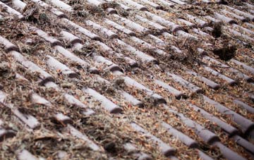 Barry roof cleaning companies